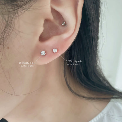 Deluxe Essential (D color)