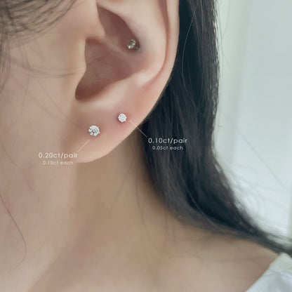 Deluxe Essential (D color)